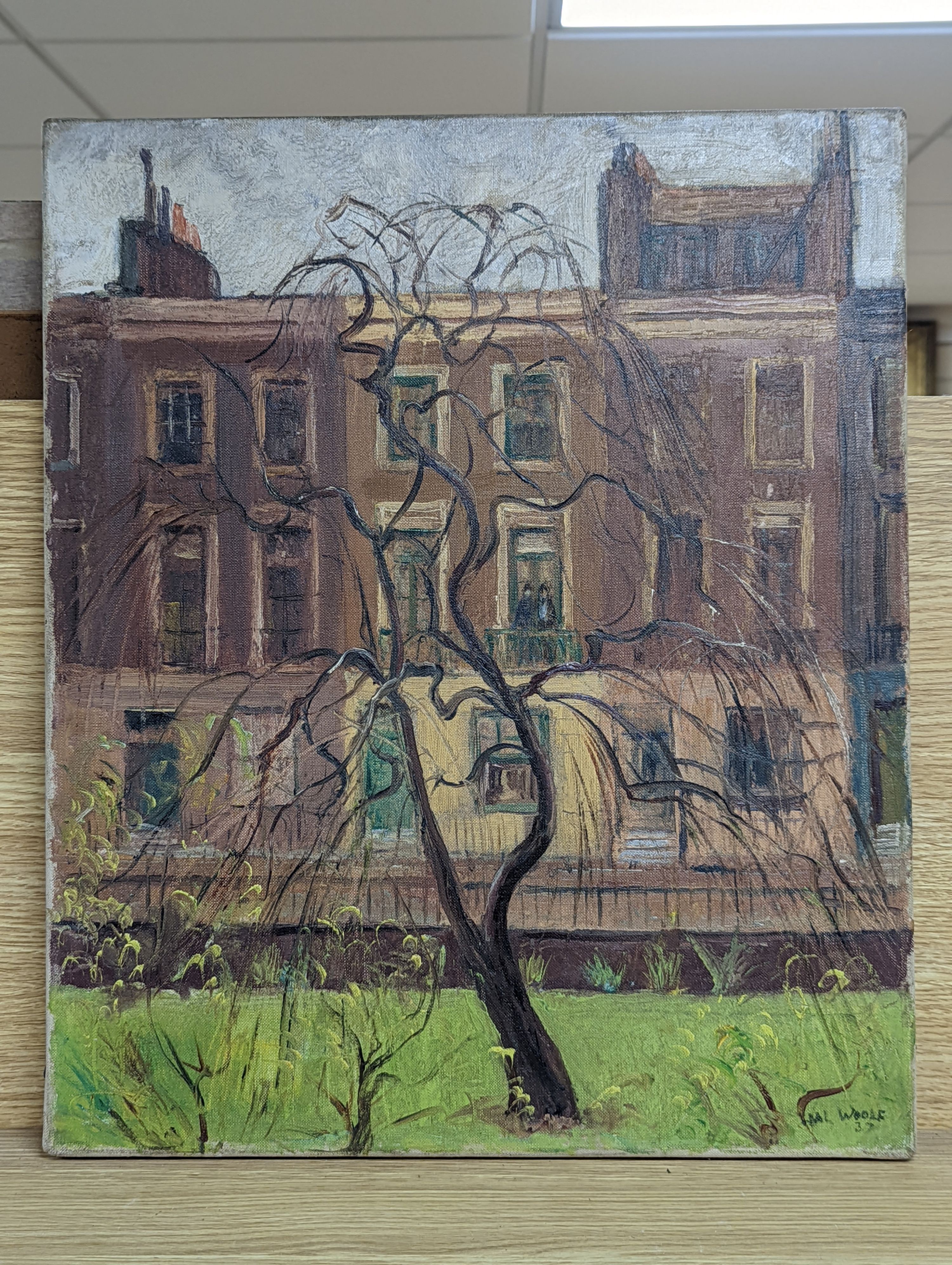 Hal Woolf (1902-1962), oil on canvas, Willow tree and houses, signed and dated '37, 46 x 38cm, unframed